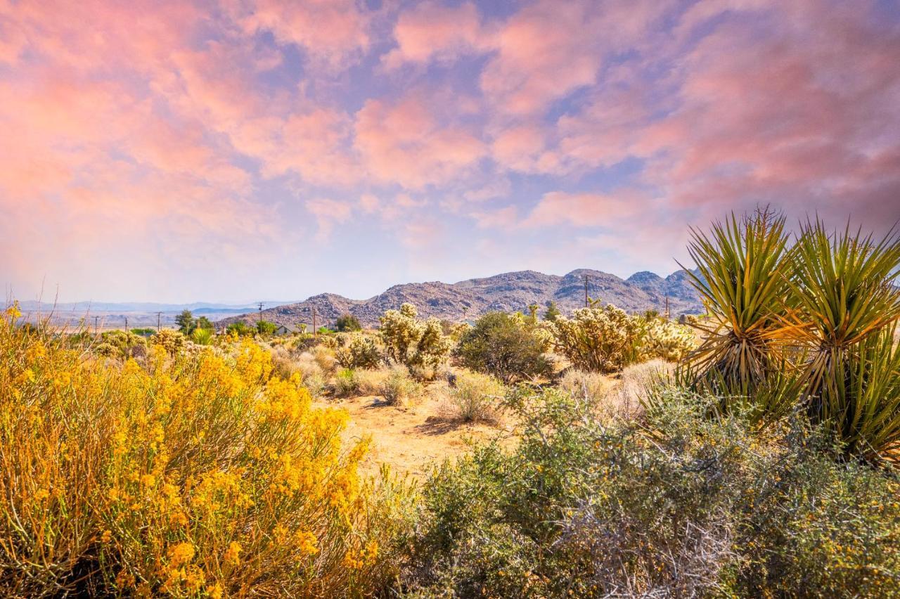 @ Marbella Lane - Modern Rustic Home In Jt Joshua Tree Exterior foto